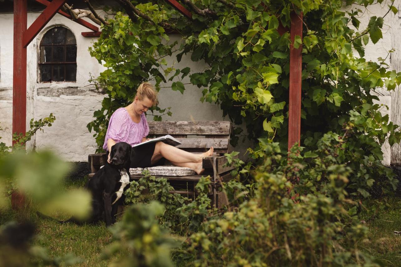 Dambaekgaard Sustainable Farm Villa Harlev  Екстериор снимка