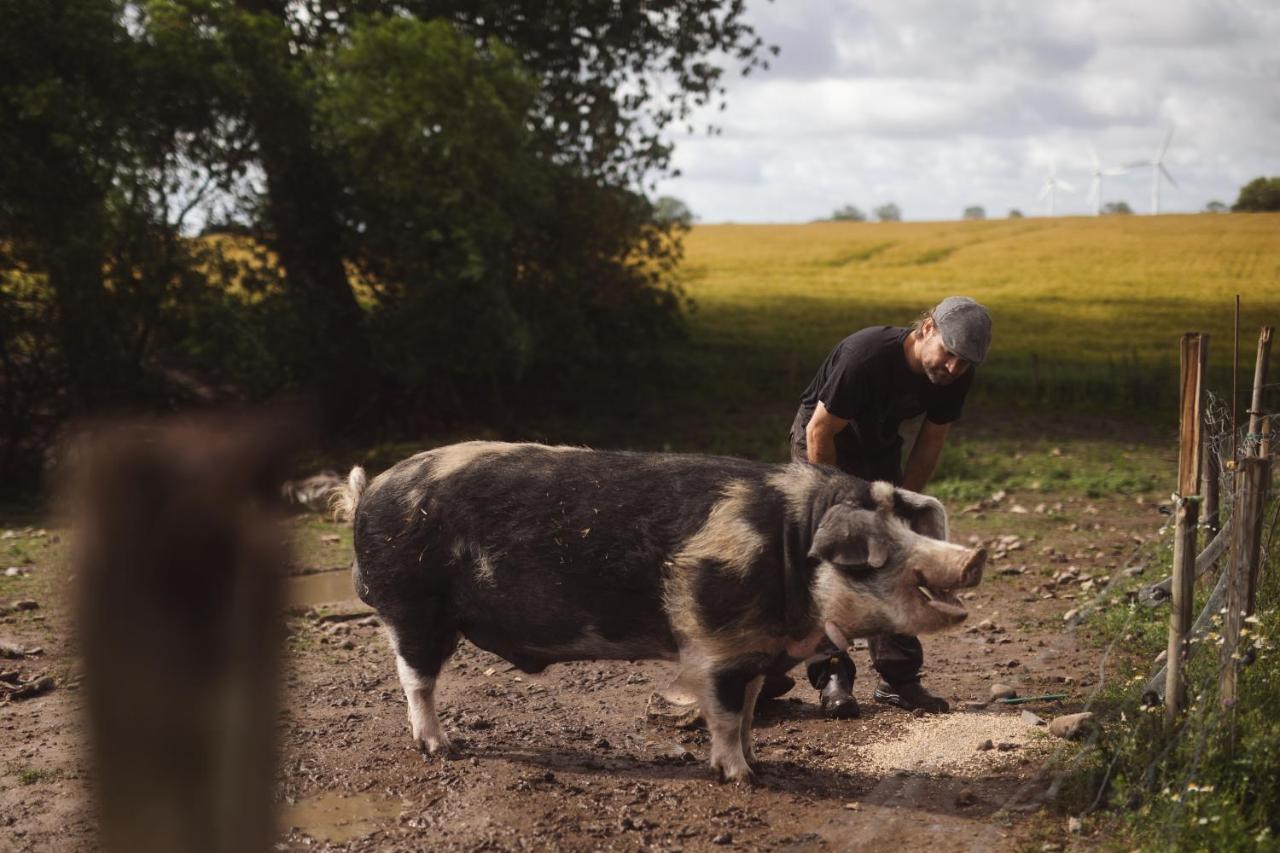 Dambaekgaard Sustainable Farm Villa Harlev  Екстериор снимка